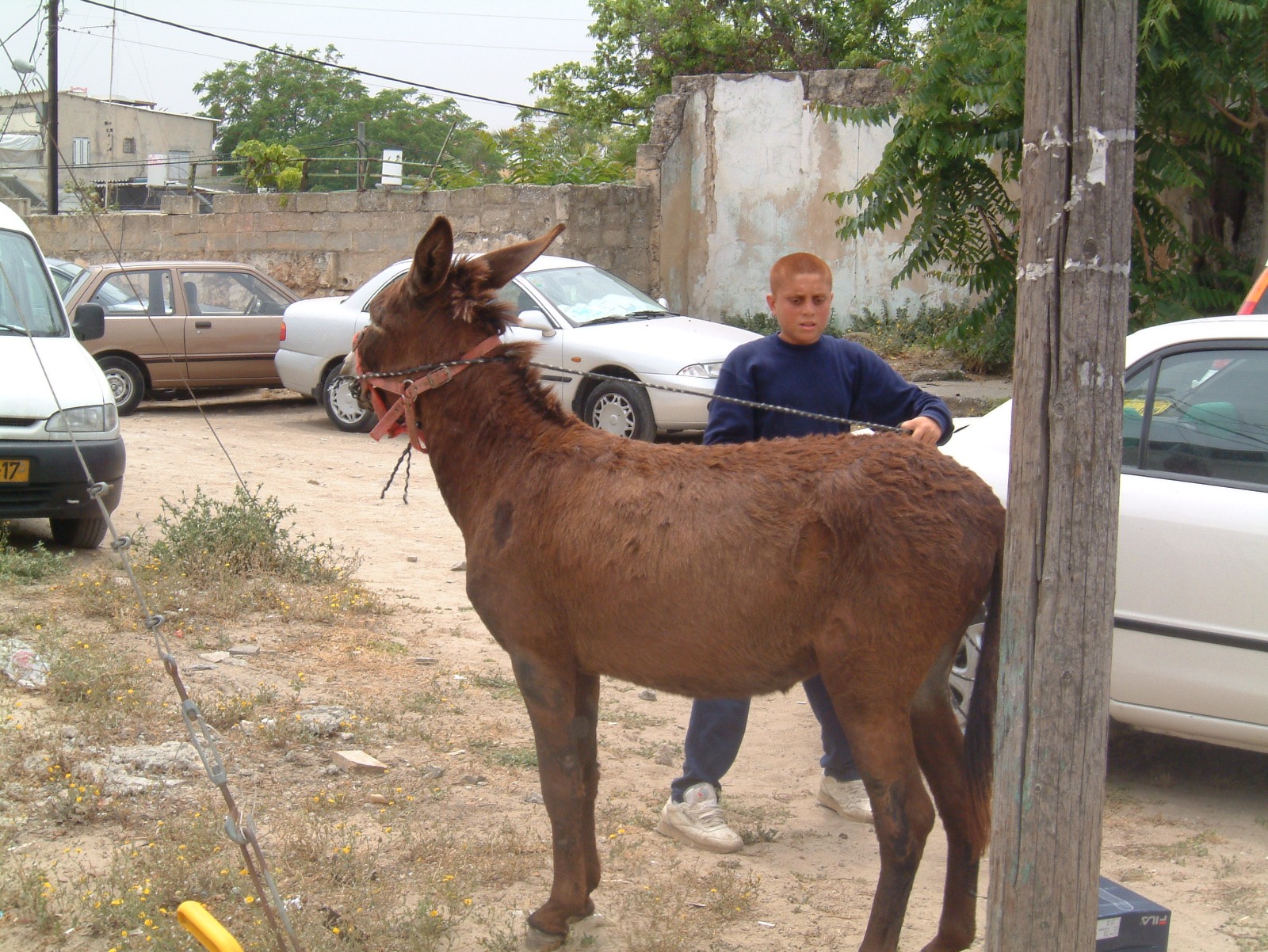 WhatsApp Image 2020-05-0 (7).jpg